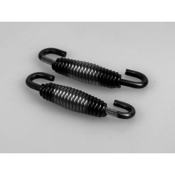 Exhaust Pipe Springs Swivel