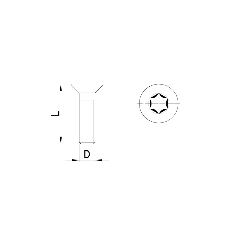 Countersunk bolt, Torx key (10 pcs)