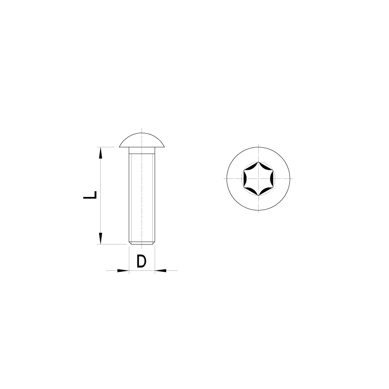 Laagbolkopbout, torx (10st)