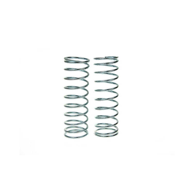 Springs 100mm length