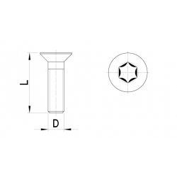 Countersunk bolt, Torx key (10 pcs)
