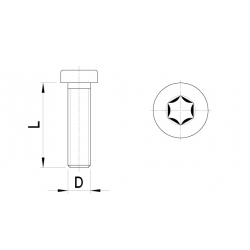 Low cylinder head, Torx (10pc)