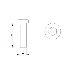 Cilinderkopbout laag, inbus (5st)
