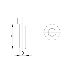 Cilinderkopbout, inbus (10st)