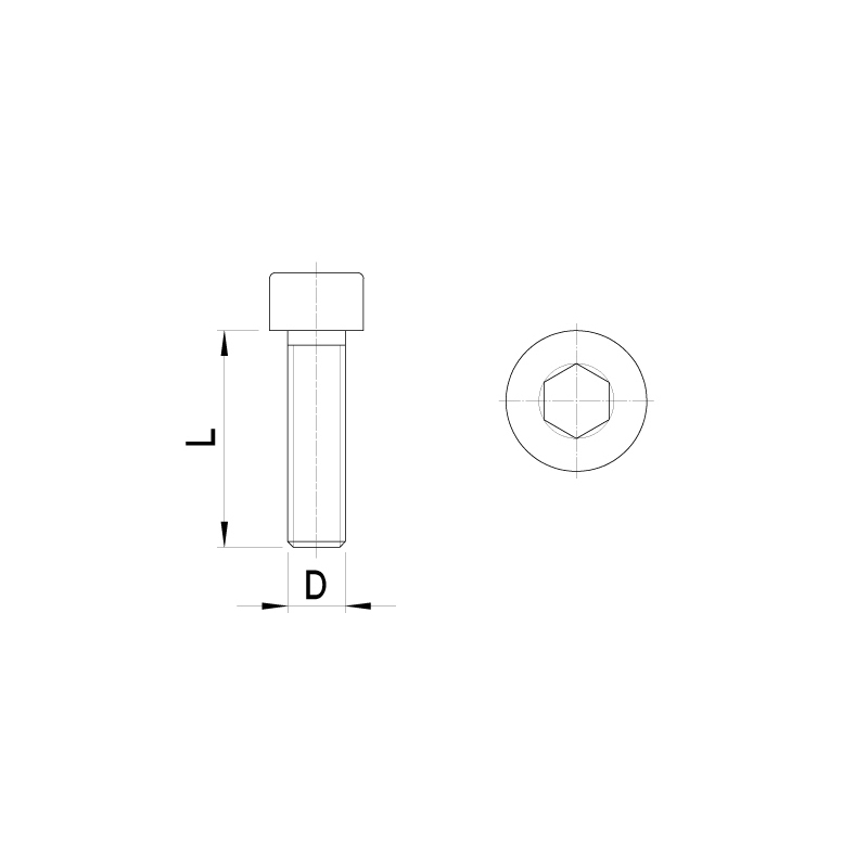 Cilinderkopbout, inbus (10st)
