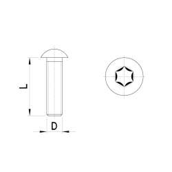 Laagbolkopbout, torx (10st)