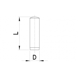 Cilindrische pennen (5 st)