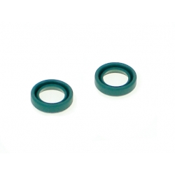 Oil seals for the dif (set)